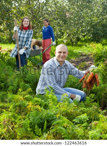 Happy family  harvesting carrots in vegetables garden