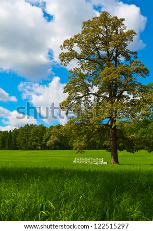 Summer landscape with oak and green lawn