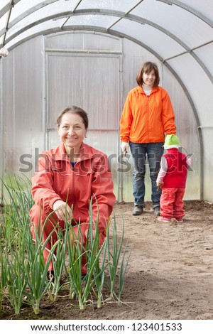 Happy family works in greenhouse