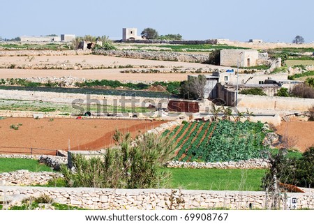 plant at typical Malta farmland. Maltese islands