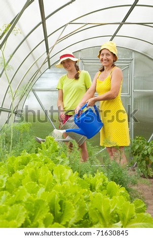 Women watering vegetables  with  watering pot in hot-house