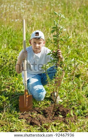 Teen boy with spade   setting tree outdoor