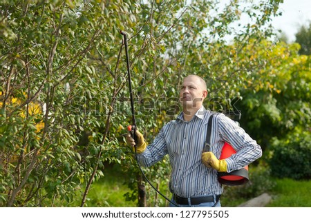 Man spraying tree plant in orchard