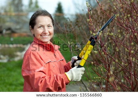 Mature woman trimming bough of an bush in spring garden