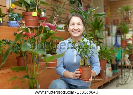 Female florist with ficus plant (Bonsai) at flower store