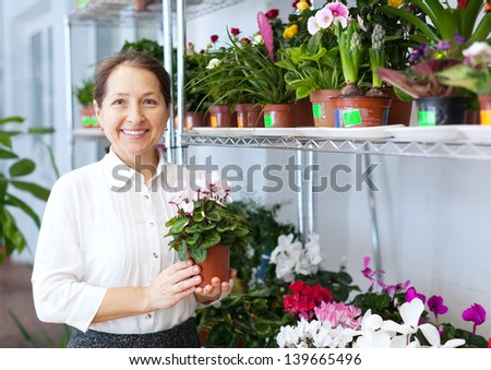 woman chooses Cyclamen plant at flower shop