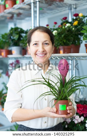 florist with Tillandsia at flower store