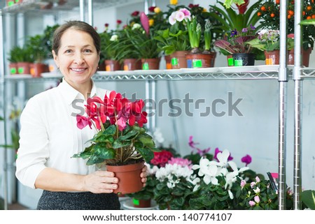 florist with Cyclamen  at flower store