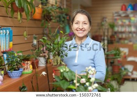 Happy mature woman chooses Bonsai in pot at flower shop