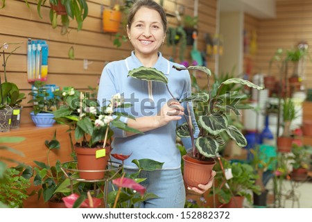 Happy mature woman with  Calathea plant  surrounded by different flowers in flower store