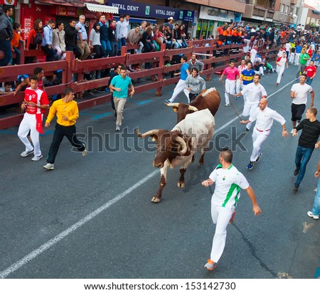 SAN SEBASTIAN DE LOS REYES, SPAIN - AUGUST 30: Encierro - Running of the Bulls in August 30, 2013 in San Sebastian de los Reyes, Spain. The laziest and phlegmatic bulls come latest