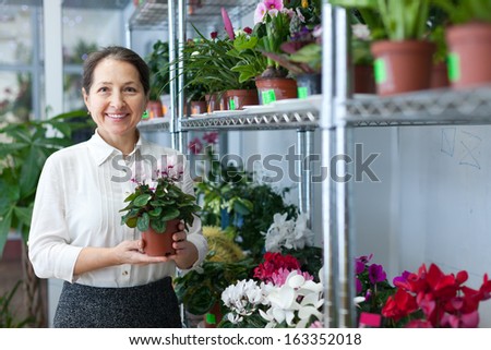 Female florist with Cyclamen plant at flower store