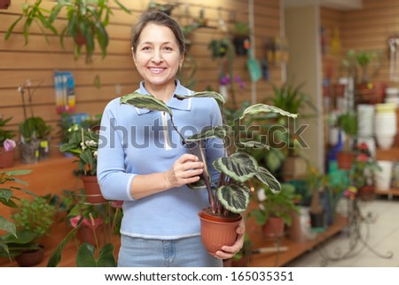 Female florist with  Calathea plant at flower store