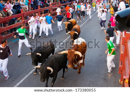 SAN SEBASTIAN DE LOS REYES, SPAIN - AUGUST 29: Encierro - Running of the Bulls in August 29, 2013 in San Sebastian de los Reyes, Spain. Traditional running people with the bulls