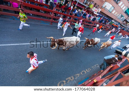 SAN SEBASTIAN DE LOS REYES, SPAIN - AUGUST 29: Encierro - Running of the Bulls in August 29, 2013 in San Sebastian de los Reyes, Spain. Running  people and bulls