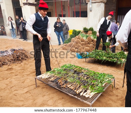 VALLS, SPAIN - JANUARY 26, 2014: Calcotada - popular gastronomical event. Men in traditional peasant dress cooking calsot on open fire  in Valls