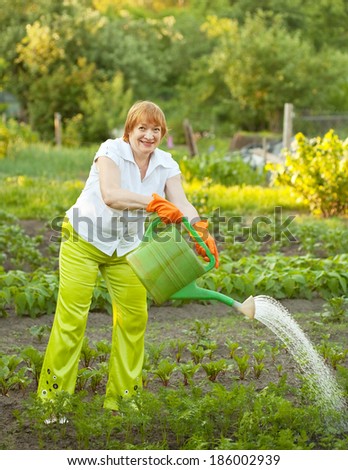 Mature woman watering plant at vegetables garden