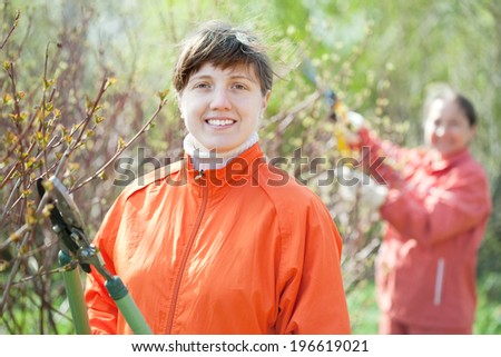 Young woman trimming bough of an bush