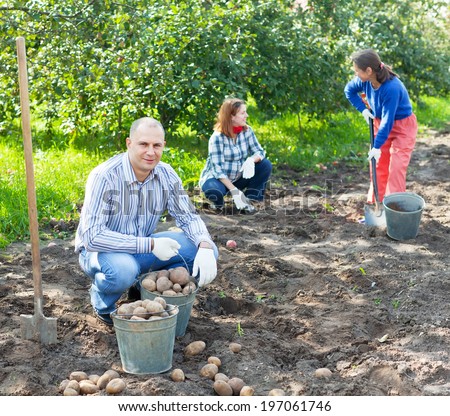 family harvesting potatoes in vegetable garden