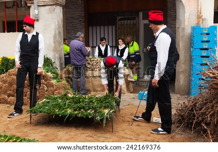 VALLS, SPAIN - JANUARY 26, 2014: Calcotada - popular gastronomical event. Men in traditional peasant dress cooking calsot