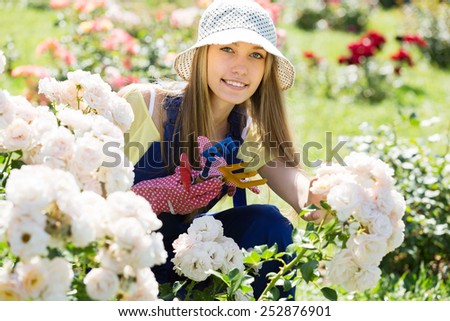 gardener in uniform working in roses plant