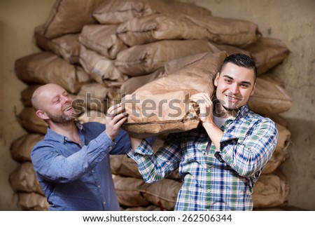 Two workers carrying the bags of cement on the construction site