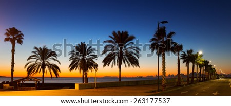 Sunset view of sea beach with palms and road