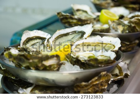 Oysters with lemon on plates at kitchen of oyster farm