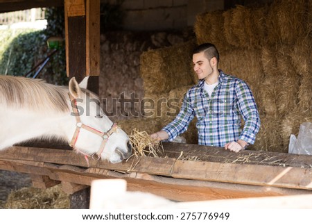 farm worker feeding horses with the hay at stable