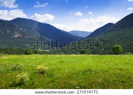 Simple landscape with mountain meadow in august day. Pyrenees, Catalonia
