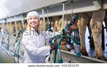 Female worker in barn with automatical cow milking machines