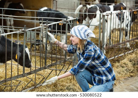Farm positive smiling girl taking care of calves herd in stall barn