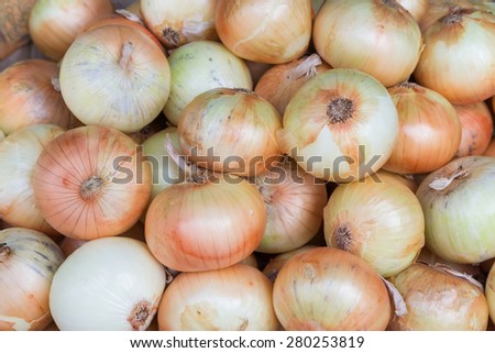 White onion bulb in market,Thailand