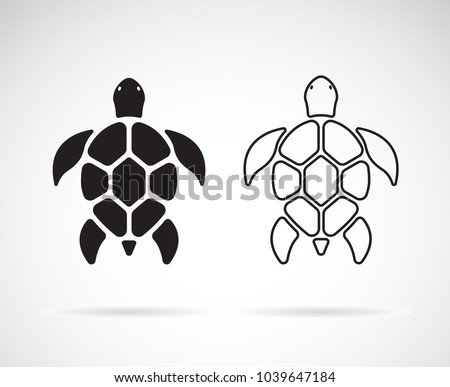 Vector of turtle design on a white background. Reptile. Animals. Easy editable layered vector illustration.