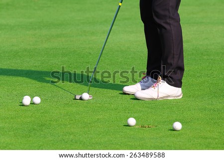 golfer putting a golf ball in to hole.