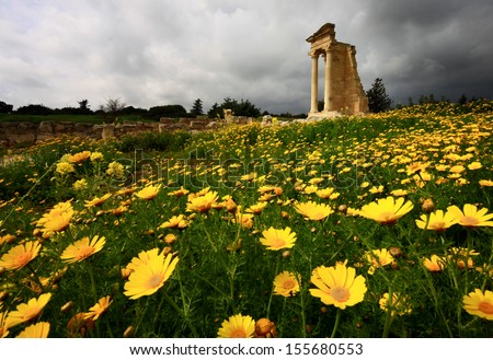 Spring Wild Flowers Bloom At The Sanctuary And Temple Of Apollo Hylates Near Kourion Cyprus.