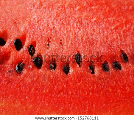 Detailed Closeup Of Watermelon
