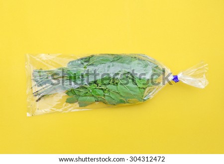 Sweet basil in plastic bag on yellow background (Pop art style)