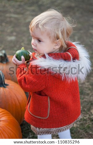 Toddler girl picking pumpkins