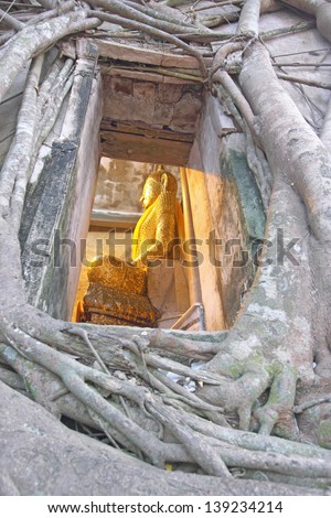 SAMUT SONGKHRAM, THAILAND - March 17 :Thai buddha in the church cover by the tree,Bang Gung Temple, Thailand on March 17,2013 in Samut Songkhram, Thailand.People called \