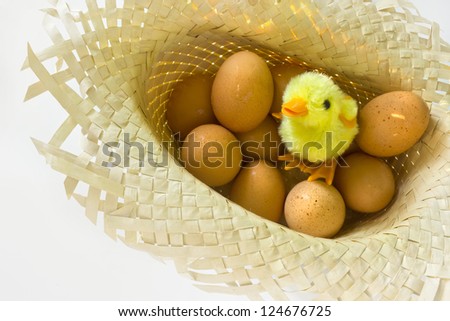 Toy chick with eggs