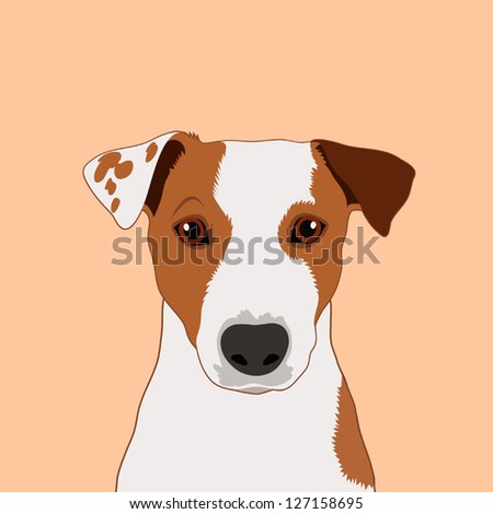 jack russell terrier The buddy dog jack russell terrier The buddy dog