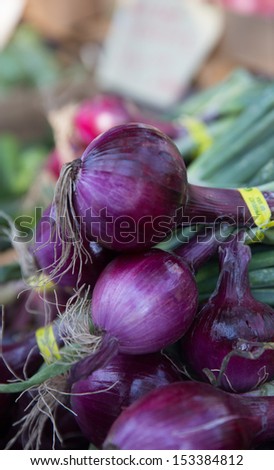 Locally Grown Organic Purple Onions in a Basket at the Farmers Market