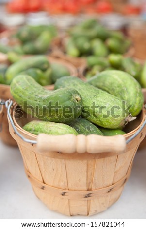 Locally Grown Organic Cucumbers in Bushel Baskets at the Farmers Market