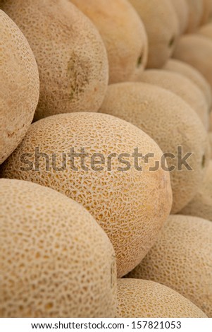 Locally Grown Organic Cantaloupes at a Farmers Market