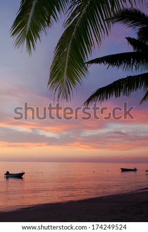 South Pacific Beach Kadavu Fiji With Palm Tree and Lush Green Vegetation