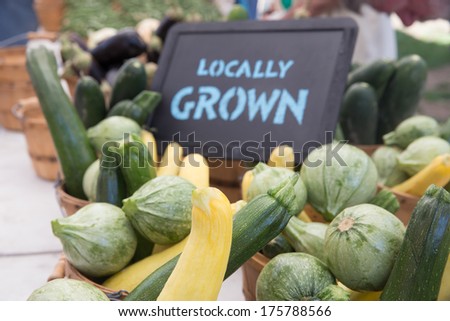 Locally Grown Green and Golden Zucchini and Calabacitas at the Farmers Market