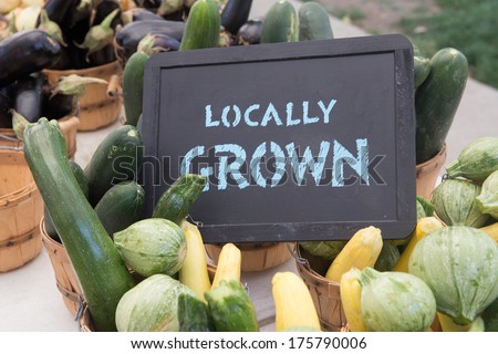 Locally Grown Vegetables Including Green and Golden Zucchini and Calabacitas at the Farmers Market