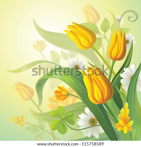 fresh spring flowers. yellow tulips and daisy. vector background