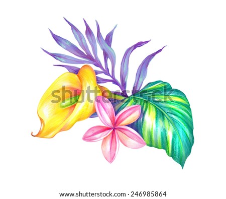 Abstract Tropical Leaves And Flowers, Jungle Plants, Watercolor